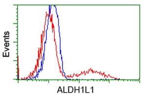 ALDH1L1 Antibody (clone OTI4C11)