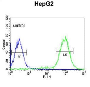 Polyclonal Rabbit anti-Human MISP / C19orf21 Antibody (aa63-91, IHC, WB)