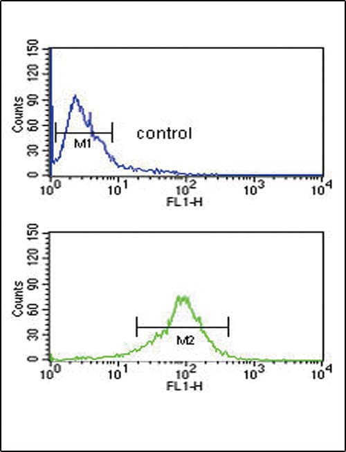 Aspartate Aminotransferase Antibody (aa352-381)
