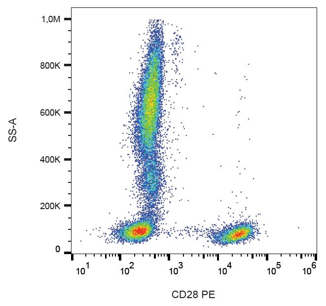 CD28 Antibody (clone CD28.2, PE)