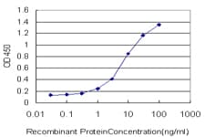 IHC-plus™ Monoclonal Mouse anti-Human HDAC1 Antibody (clone 3E1, IHC, IF, WB)