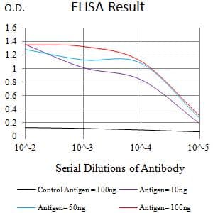 CCR2 Antibody (clone 3B6B1)