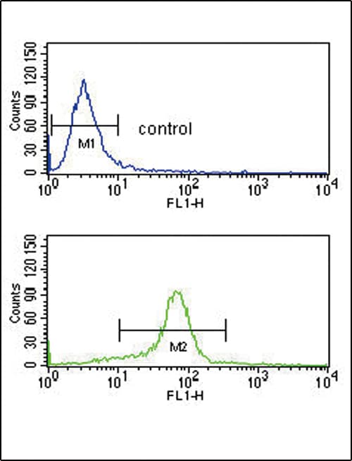 CACNA2D1 Antibody (aa47-76)