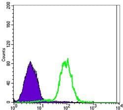 CA9 / Carbonic Anhydrase IX Antibody (clone 2D3)