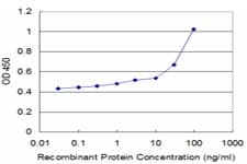 HOXA6 Antibody (clone 3A6)