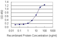 OVGP1 / Oviductin Antibody (clone 3F9)