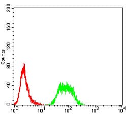 NAA10 / ARD1A Antibody (clone 3G3B9)