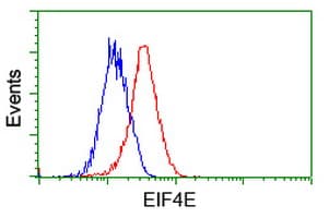 EIF4E Antibody (clone OTI6C11)
