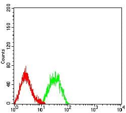 VTCN1 / B7-H4 Antibody (clone 6A5G2)