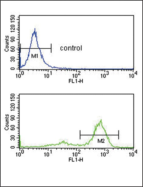 IHC-plus™ Polyclonal Rabbit anti-Human ETV6 / TEL Antibody (aa84-111, IHC, WB)