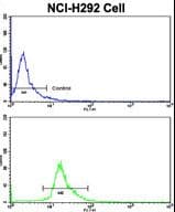 PROCR / EPCR Antibody (aa104-132)