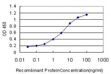 S100A13 Antibody (clone 3A7)