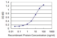 Monoclonal Mouse anti-Human SULT2B1 / Sulfotransferase 2B1 Antibody (clone 2E5, WB)