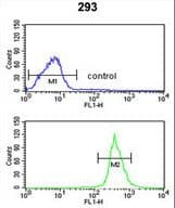 ATP11C Antibody (aa589-616)