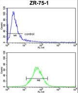 E2F5 Antibody (aa66-93)