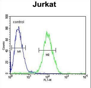 RPS3A / Ribosomal Protein S3A Antibody (aa228-254)