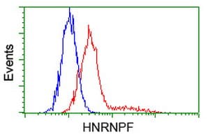 HNRNPF / hnRNP F Antibody (clone OTI5F5)