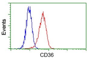 CD36 Antibody (clone OTI4H7, Carrier-free)