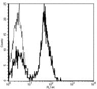 Monoclonal Mouse anti-Human CD28 Antibody (clone CD28.2, FITC)