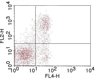 Monoclonal Rat anti-Mouse FR4 / Folate Receptor 4 Antibody (clone TH6)