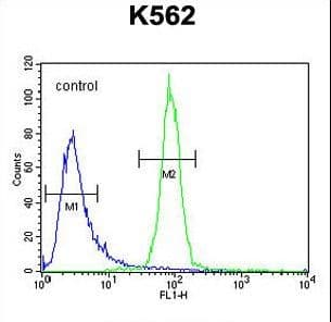 OR52A1 Antibody (aa248-276)