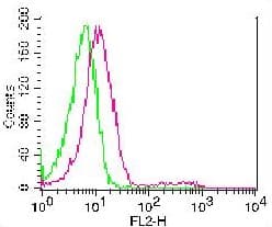 CD37 Antibody (clone HH1)