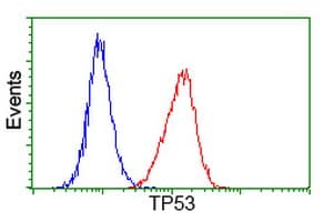 TP53 / p53 Antibody (clone OTI1C6)