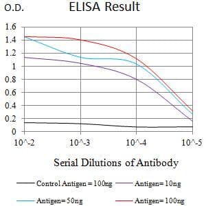 CLEC4D / MCL Antibody (clone 6E4H3)