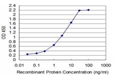Monoclonal Mouse anti-Human TCF7 Antibody (clone 2E9, WB)