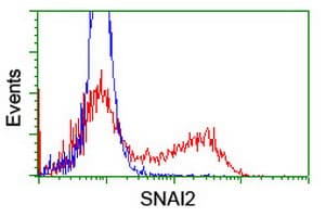 SNAI2 / SLUG Antibody (clone OTI2F3, Carrier-free)