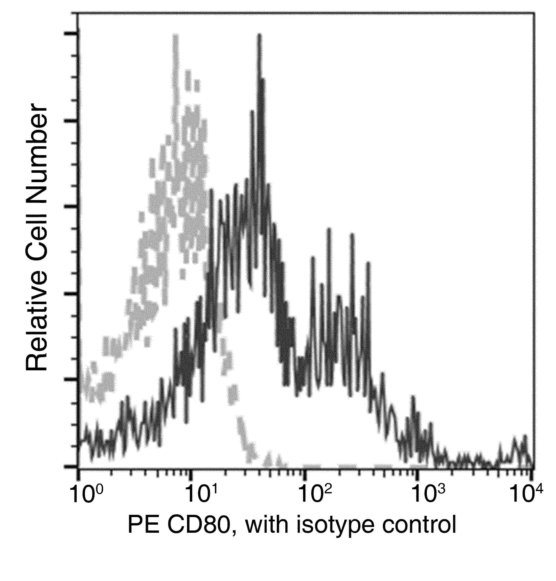 Monoclonal Rabbit anti-Mouse CD80 Antibody (clone 009, PE)