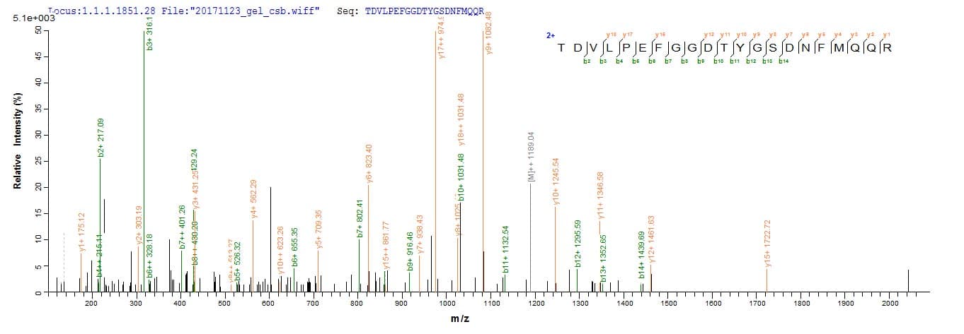 E. coli Outer Membrane Protein C (Recombinant 6His, N-terminus)