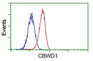 CBWD1 Antibody (clone OTI4E8)
