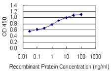 Monoclonal Mouse anti-Human GPI Antibody (clone 8B8, WB)