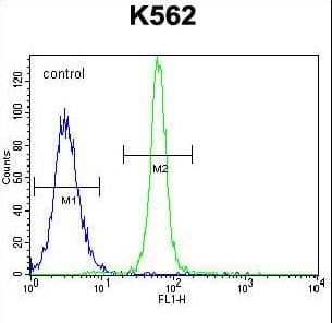 LRRC21 Antibody (aa594-622)