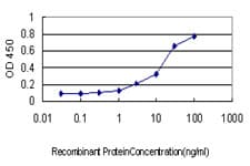 ITGB5 / Integrin Beta 5 Antibody (clone 2C4)
