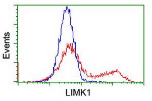 LIMK1 / LIMK Antibody (clone OTI6A7)