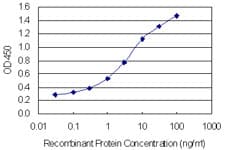 NHS Antibody (clone 6D9)