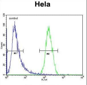 TRIM38 Antibody (aa423-451)
