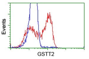 GSTT2 Antibody (clone OTI6B7, Carrier-free)