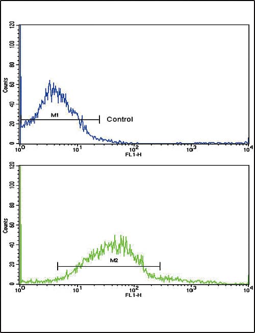 IHC-plus™ Polyclonal Rabbit anti-Human ADH5 Antibody (aa212-239, IHC, WB)