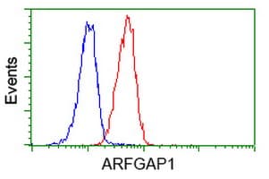 ARFGAP1 Antibody (clone OTI1H4)