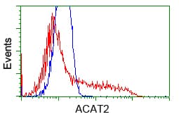 ACAT2 Antibody (clone OTI5C9, Carrier-free)