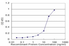 Monoclonal Mouse anti-Human PSMA1 Antibody (clone 3F12-2C9, WB)