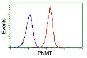 PNMT Antibody (clone OTI2G4)