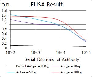 IHC-plus™ YAP / YAP1 Antibody (clone 1A12)