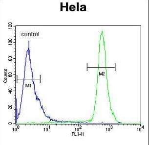 HS3ST2 Antibody (aa317-346)