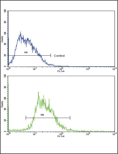 SOX9 Antibody (aa231-260)