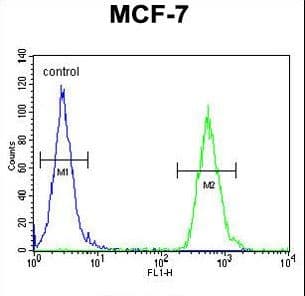 Polyclonal Rabbit anti-Human TTPAL / C20orf121 Antibody (aa204-233, IHC, WB)