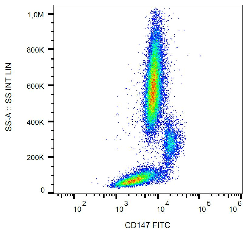 Monoclonal Mouse anti-Human Basigin / Emmprin / CD147 Antibody (clone MEM-M6/1, FITC, N-Terminus, IHC, WB)